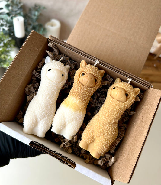 Charlie’s Alpaca Trio - kaars