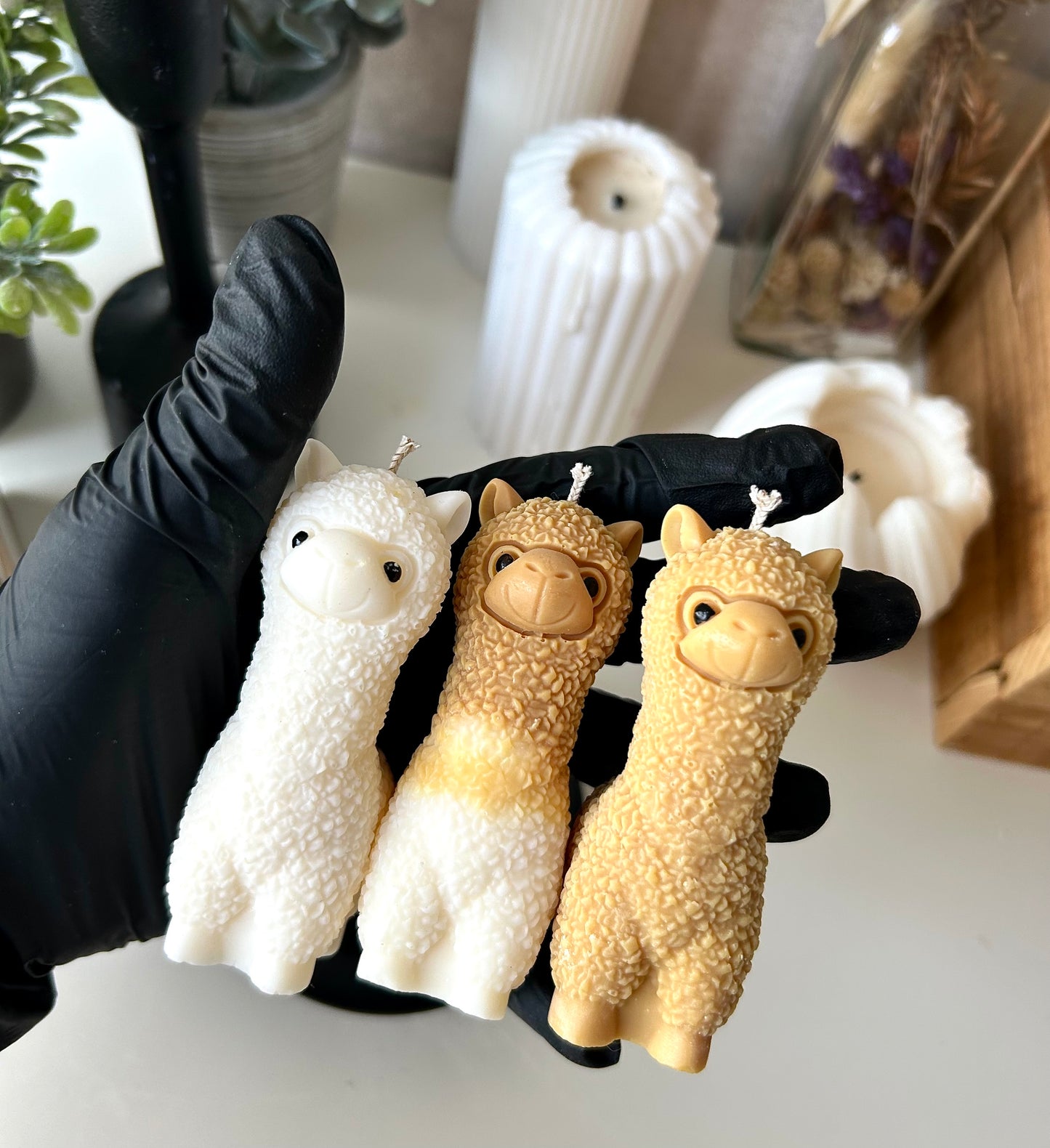 Charlie’s Alpaca Trio - kaars
