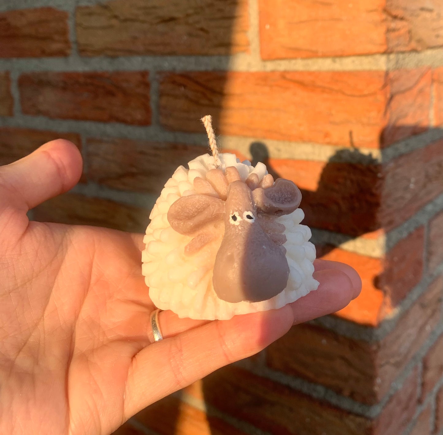 Charlie's Sheep - Kaars