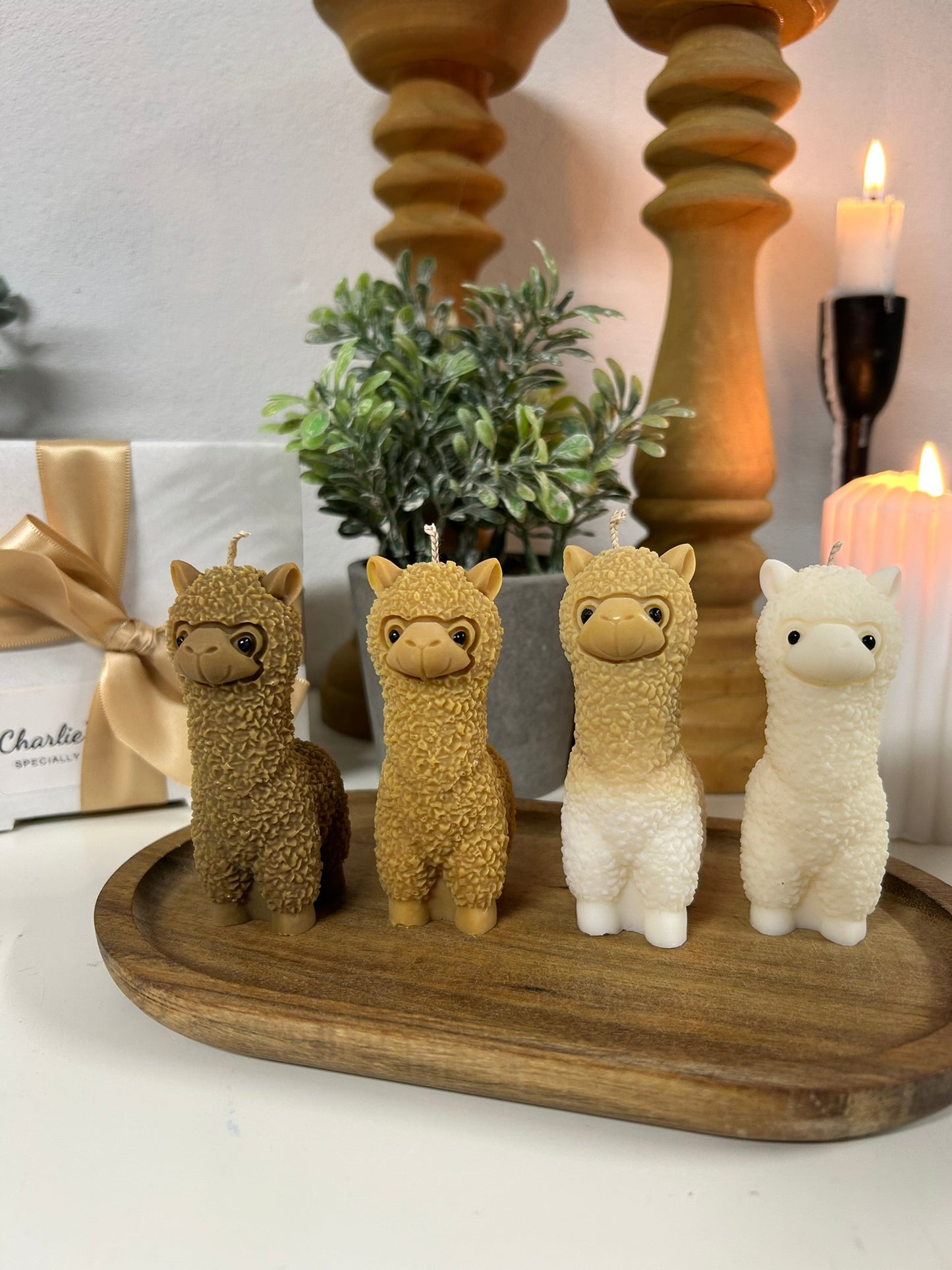 Charlie’s Alpaca Quartet Giftbox