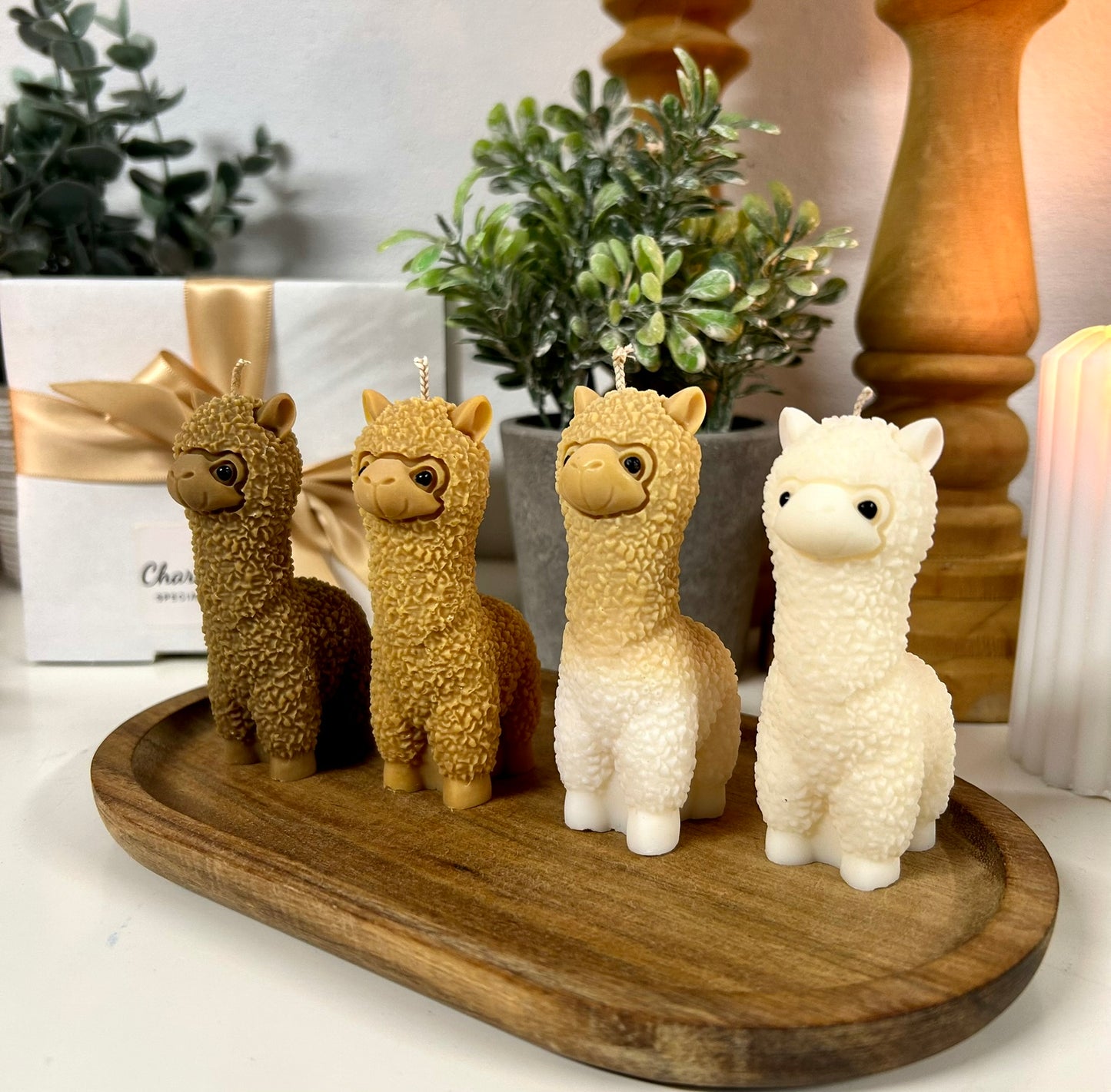 Charlie’s Alpaca Quartet Giftbox