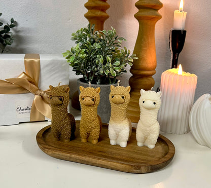 Charlie’s Alpaca Quartet Giftbox