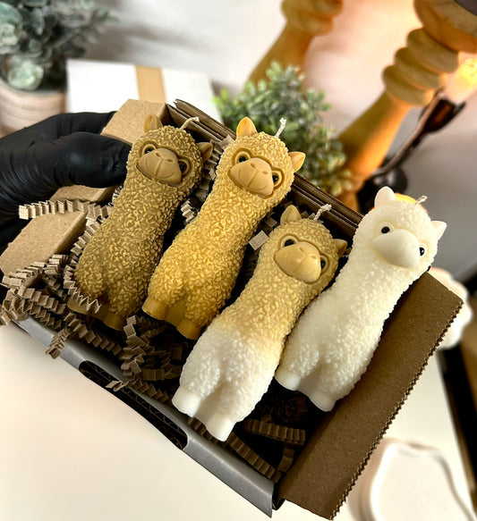 Charlie’s Alpaca Quartet Giftbox