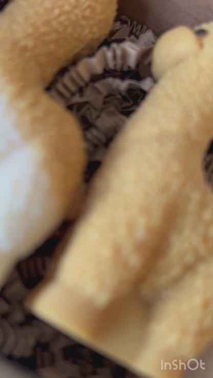 Charlie’s Alpaca Trio - kaars